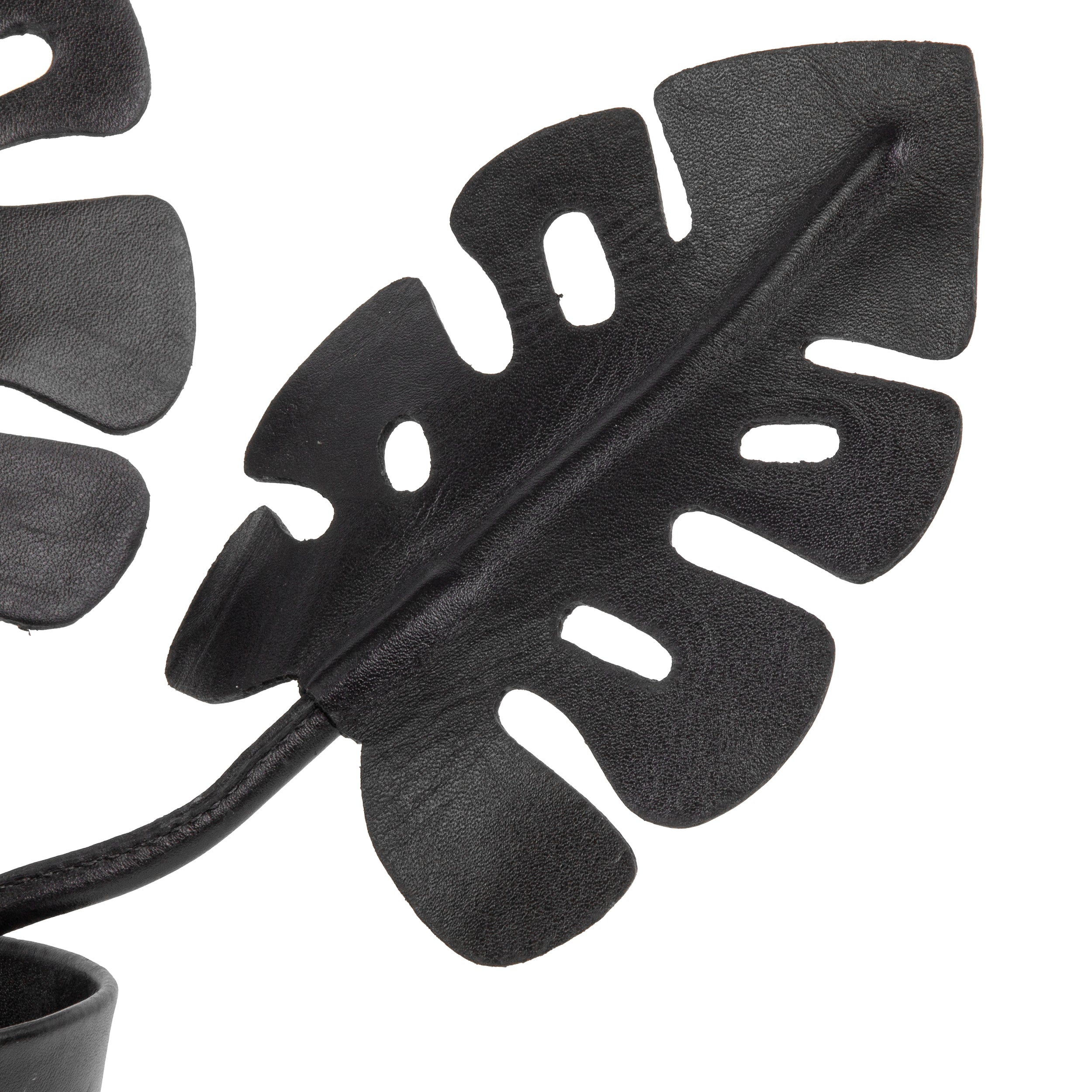 Black Monstera Deliciosa Plant Pot in Leather by Patrícia Maranhão