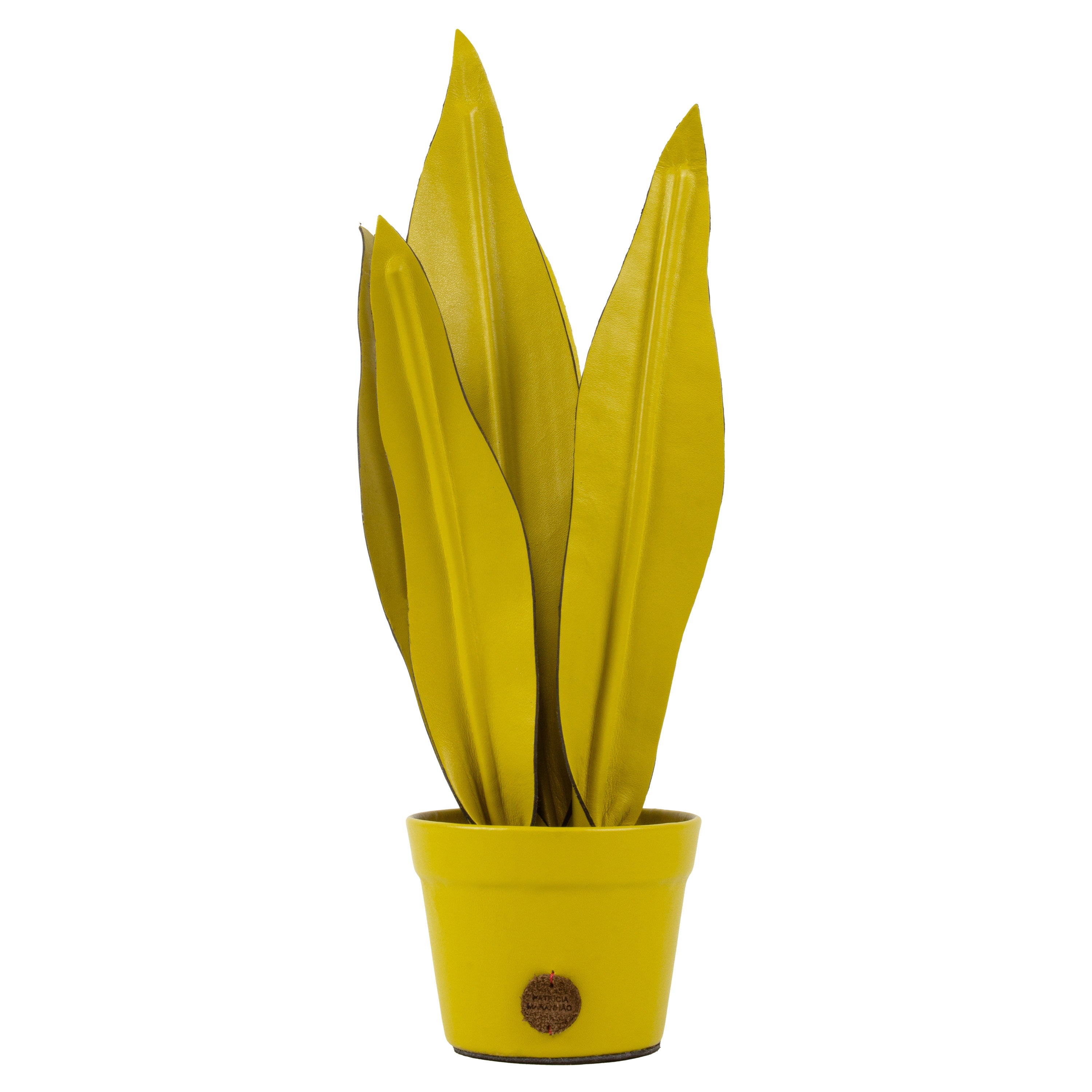 Sansevieria Plant Pot Mustard Green in Leather by Patrícia Maranhão