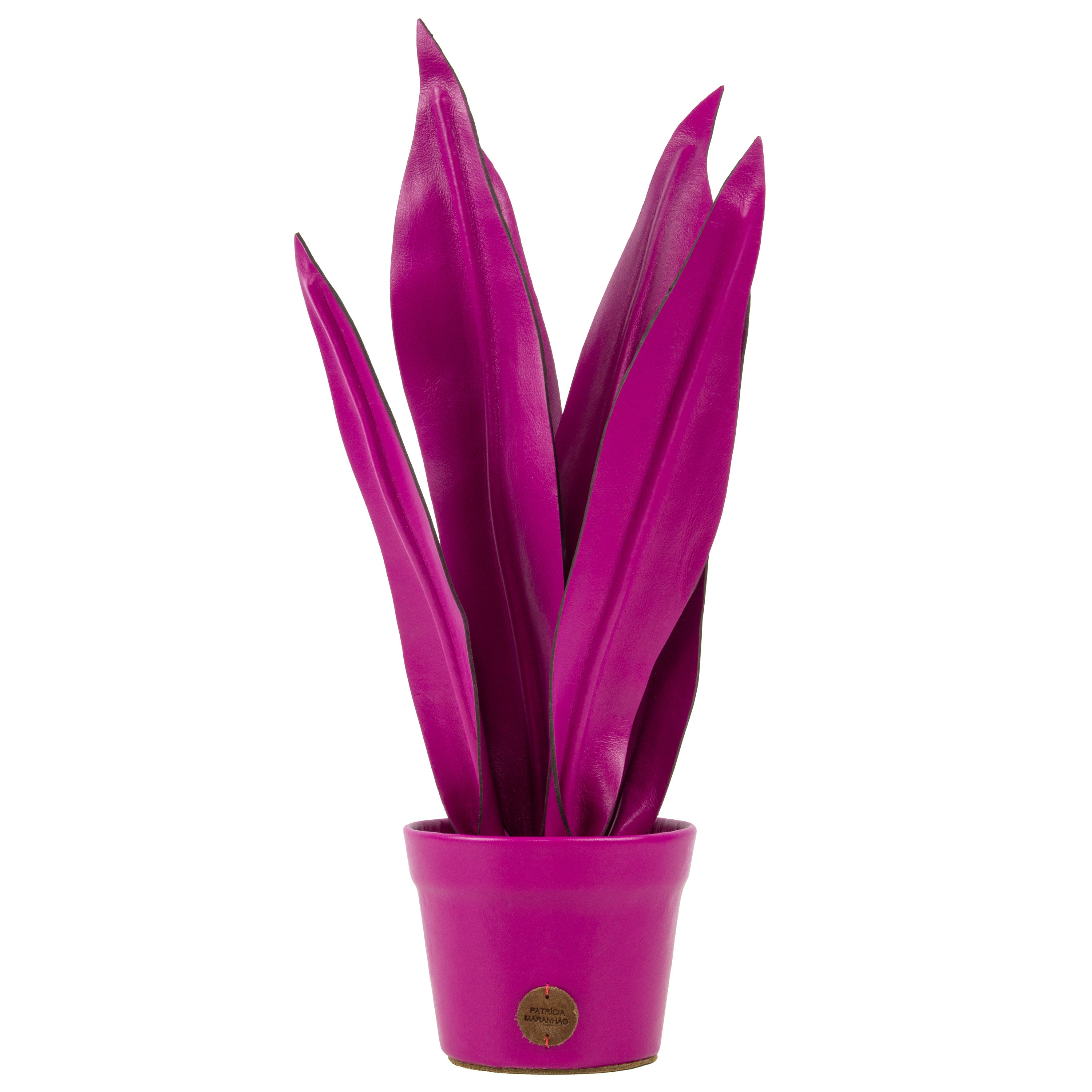 Pink Snake Plant Pot in Leather by Patrícia Maranhão