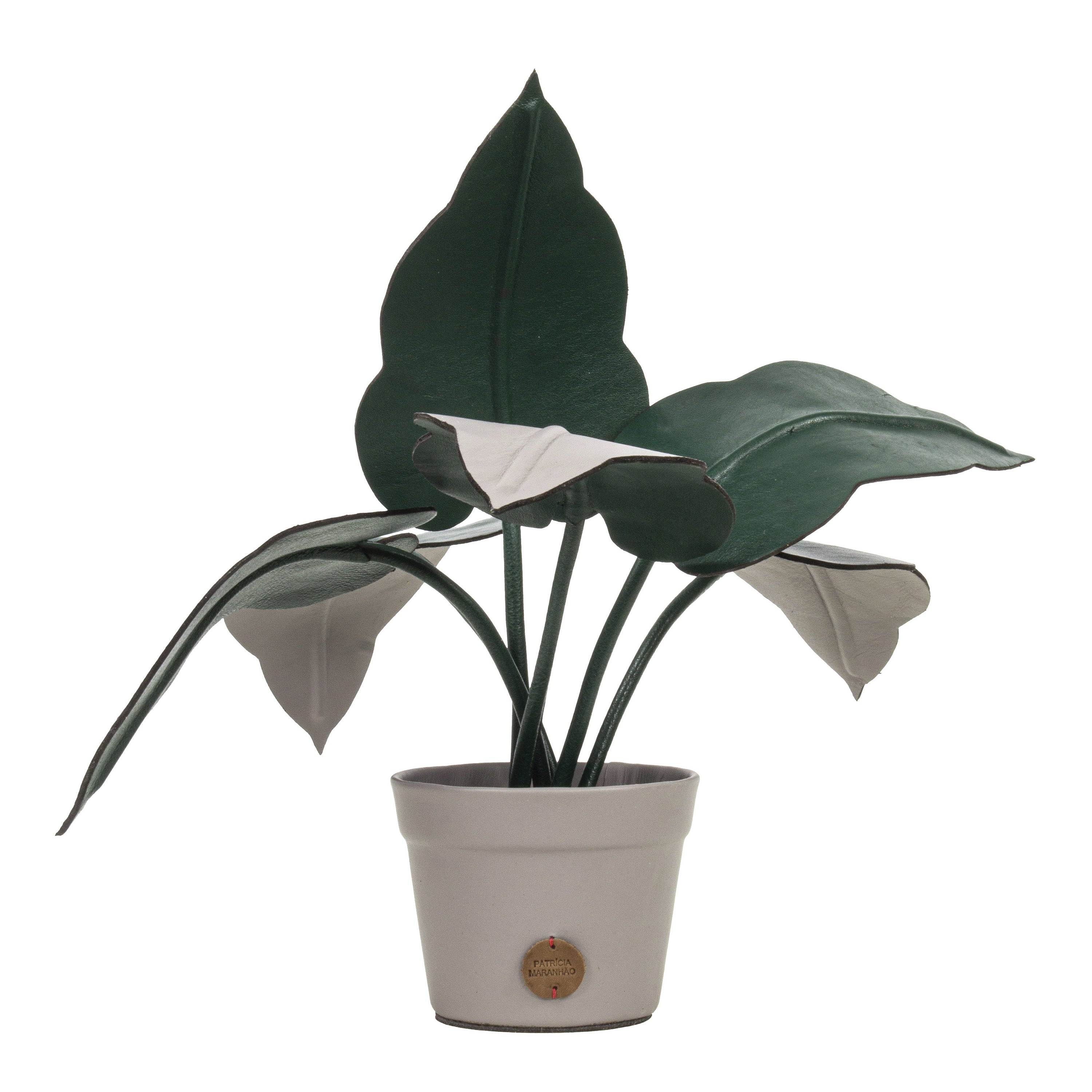 Vaso de Planta Fitônia em Couro Patrícia Maranhão
