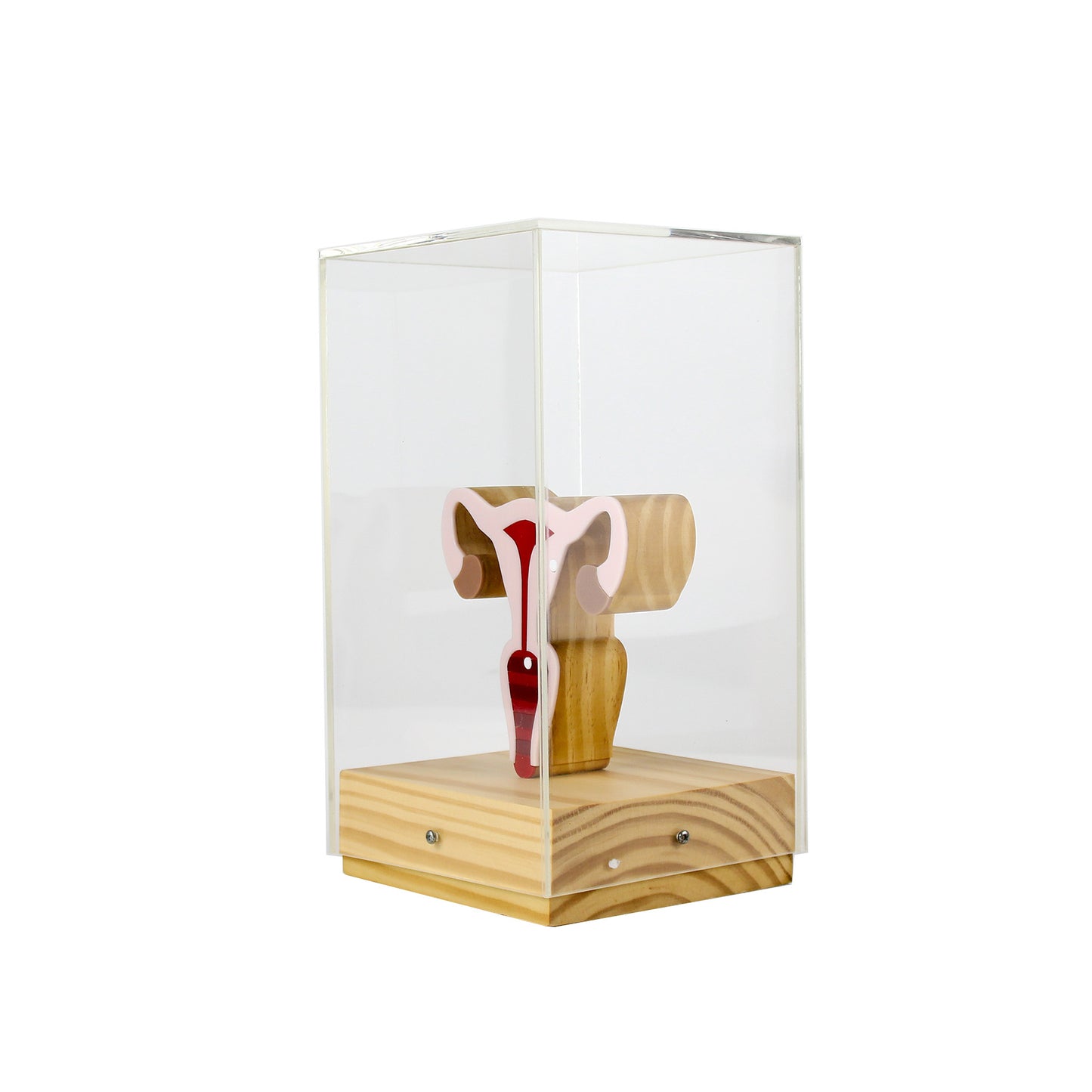 Ex Voto Uterus Dome Sculpture + Patricia Maranhão Mug