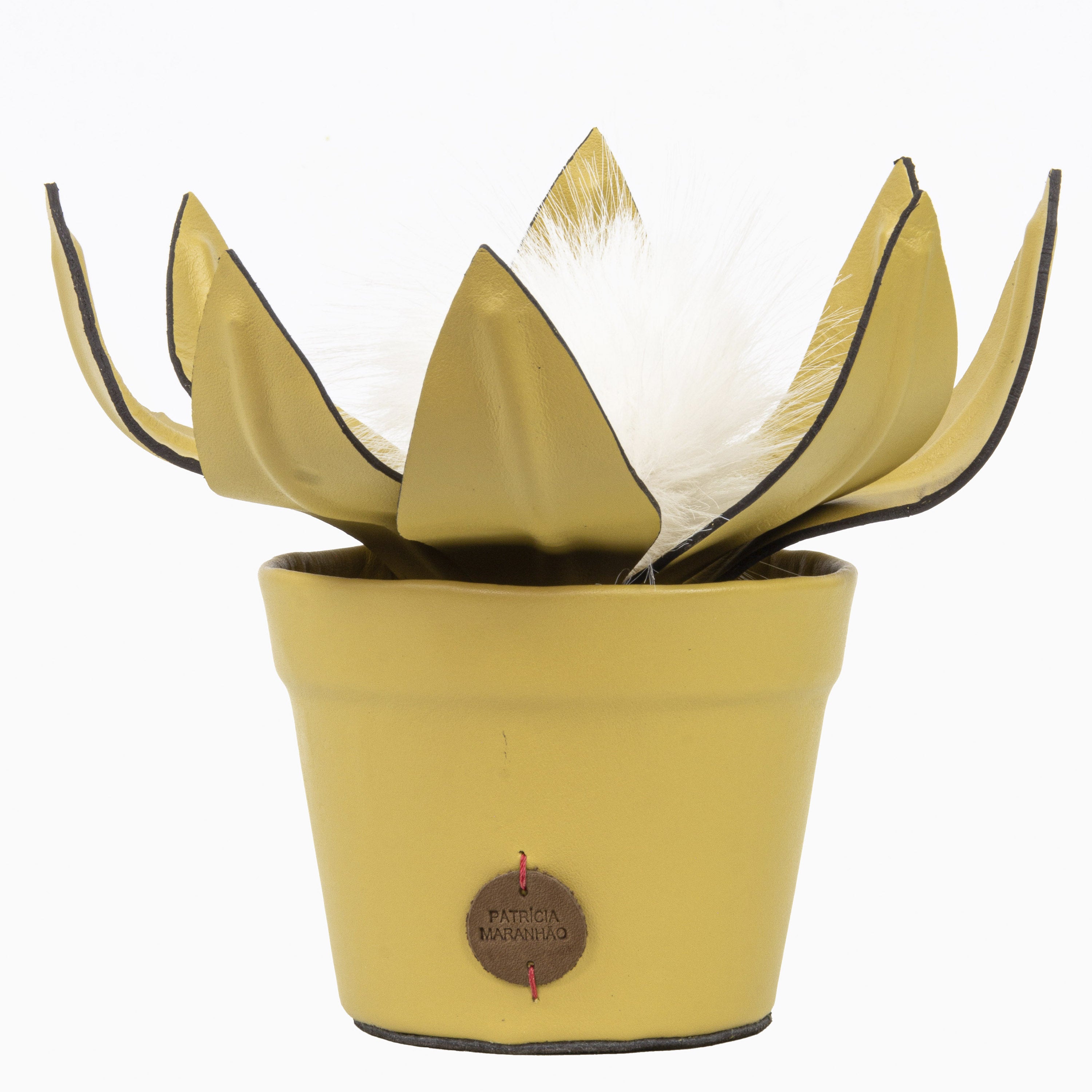 Vaso de Planta Protéa em Couro Patrícia Maranhão