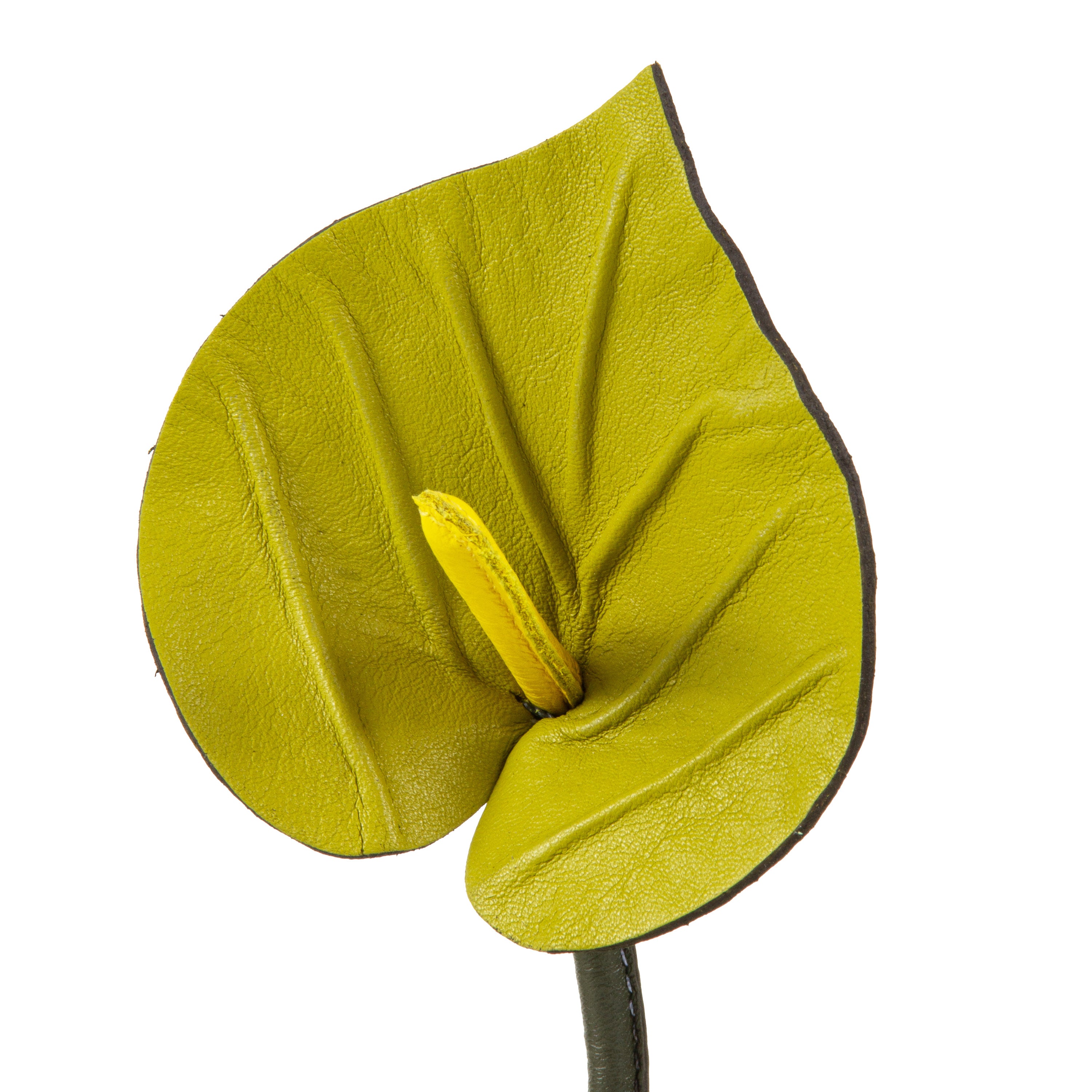 Anthurium Mustard Plant Pot in Leather by Patrícia Maranhão