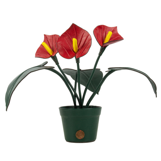 Vaso de Planta Antúrio Vermelho em Couro Patrícia Maranhão