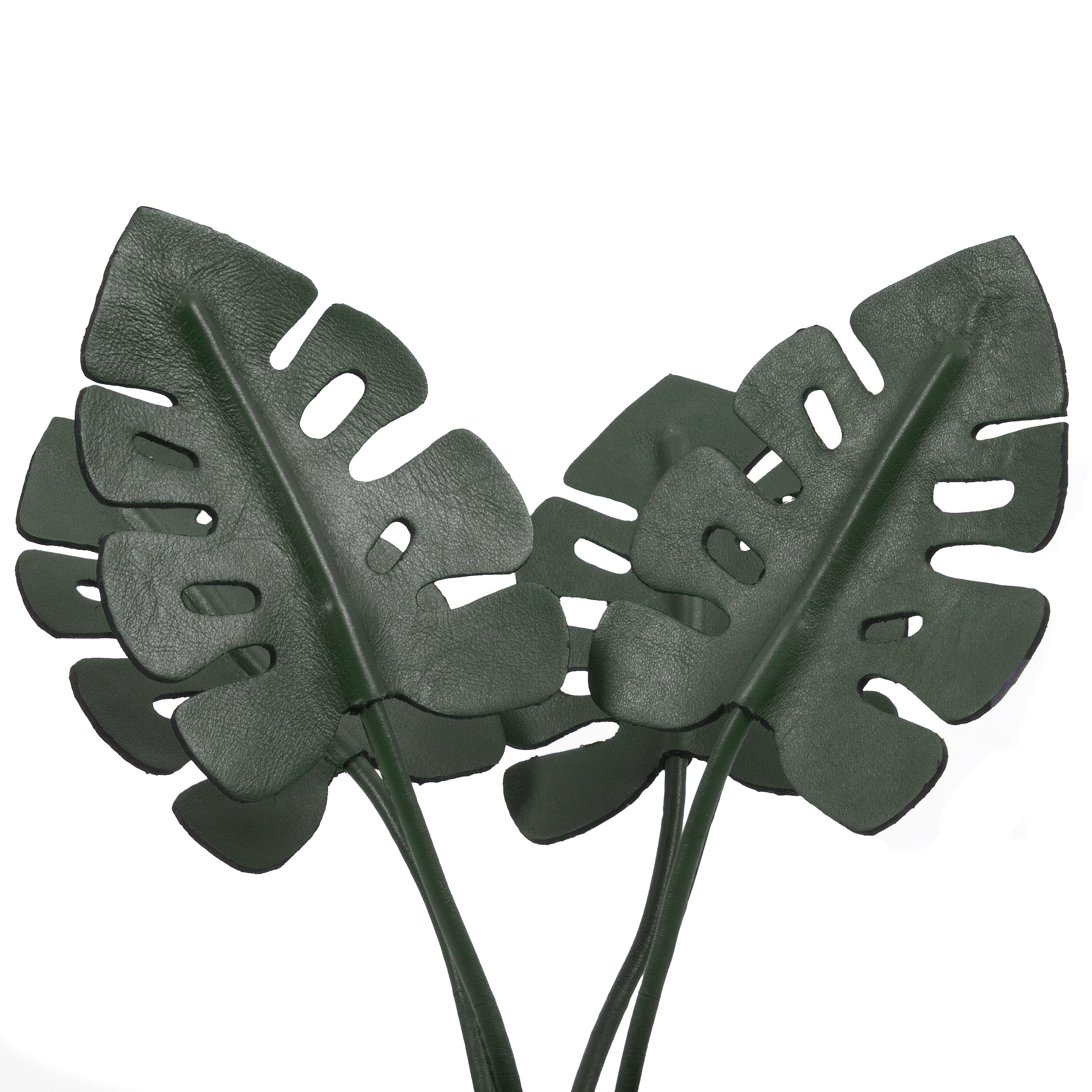 Green Monstera Deliciosa Plant Pot in Leather by Patrícia Maranhão