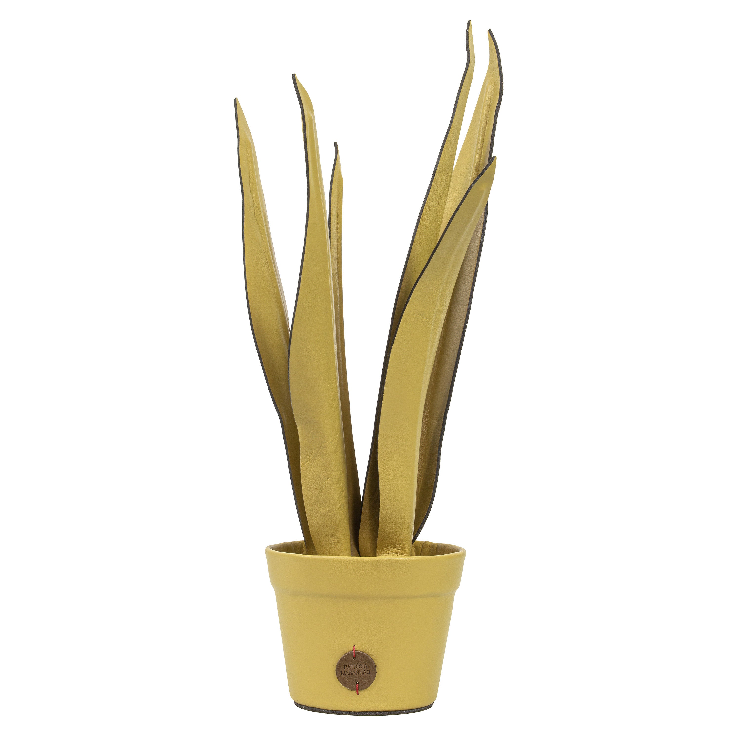 Vaso de Planta Espada de São Jorge em Couro Patrícia Maranhão