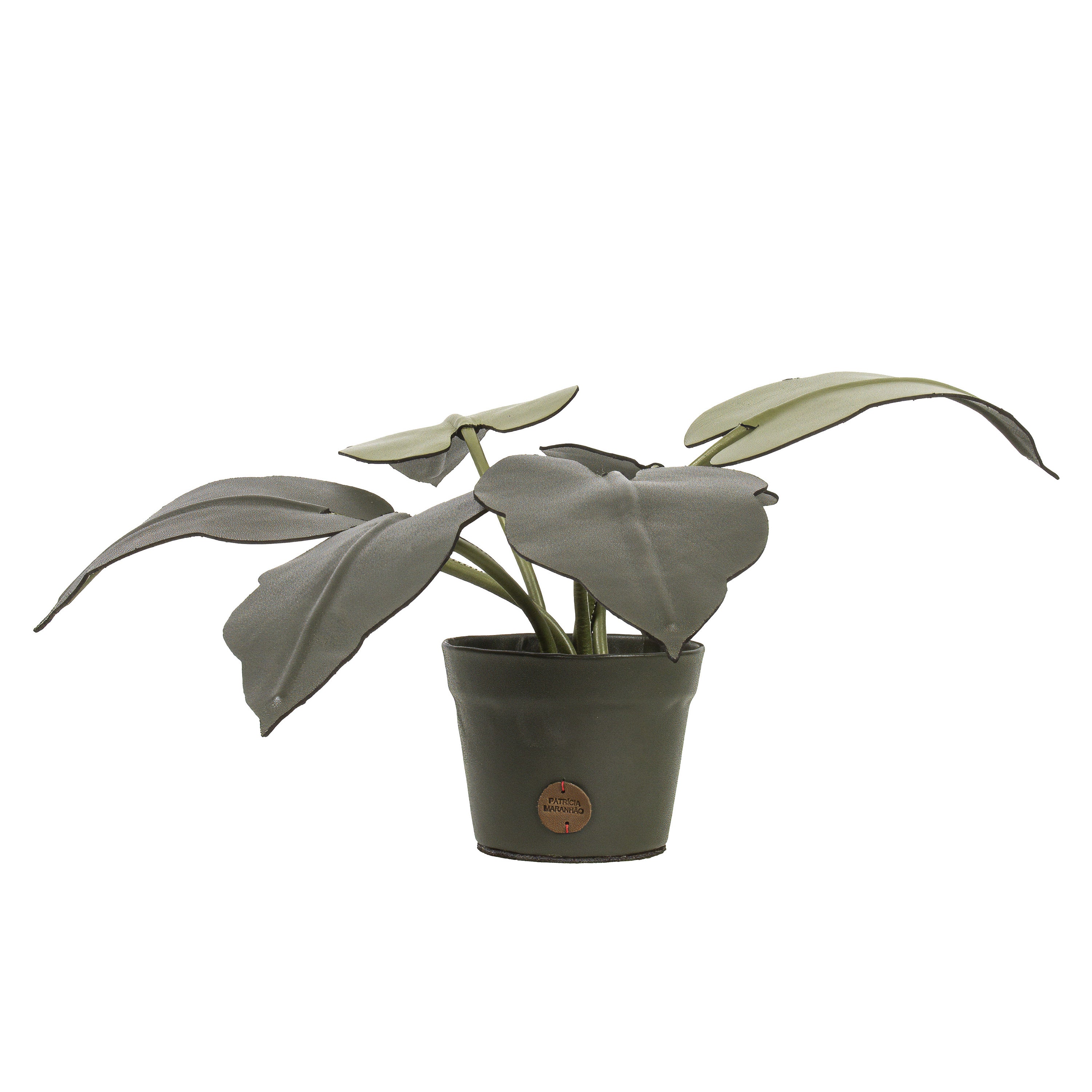Vaso de Planta Fitônia Verde Oliva em Couro Patrícia Maranhão