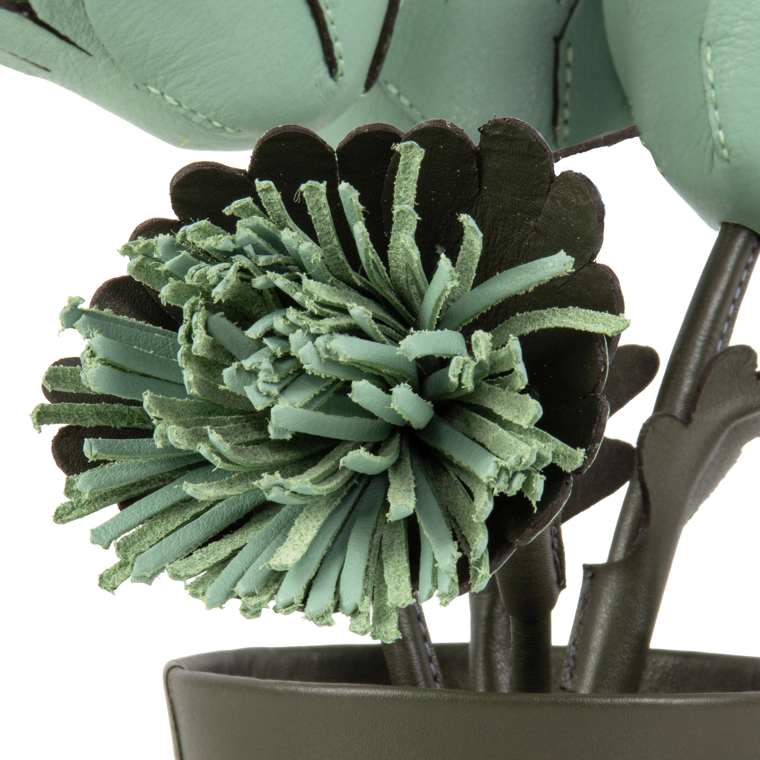 Green Gerbera Plant Pot in Leather by Patrícia Maranhão